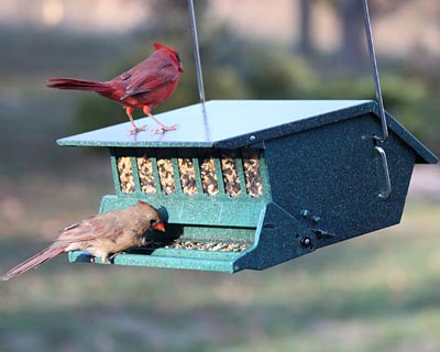 Heritage Farms Bird's Choice Squirrel Proof Feeder