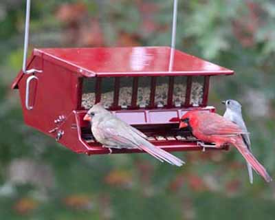 Heritage Farms Bird's Choice Squirrel Proof Bird Feeder, Red