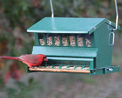 Heritage Farms Absolute Bird Feeder with Pole and Hanger