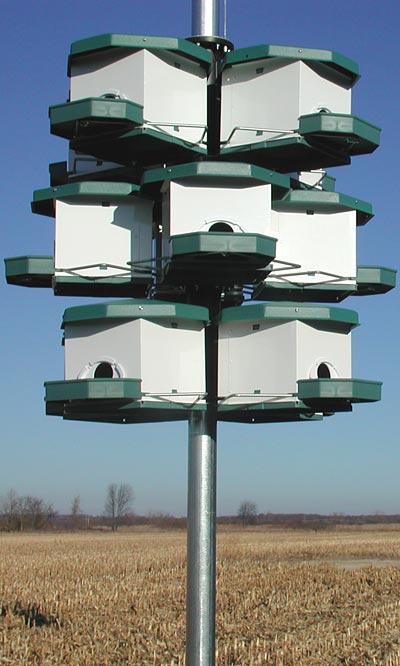 Heritage Farms Quad Pod Purple Martin House, 1 level