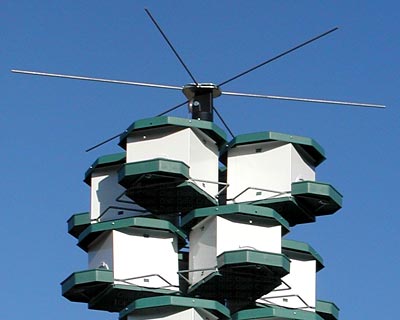 Heritage Farms Purple Martin House System Top Perch