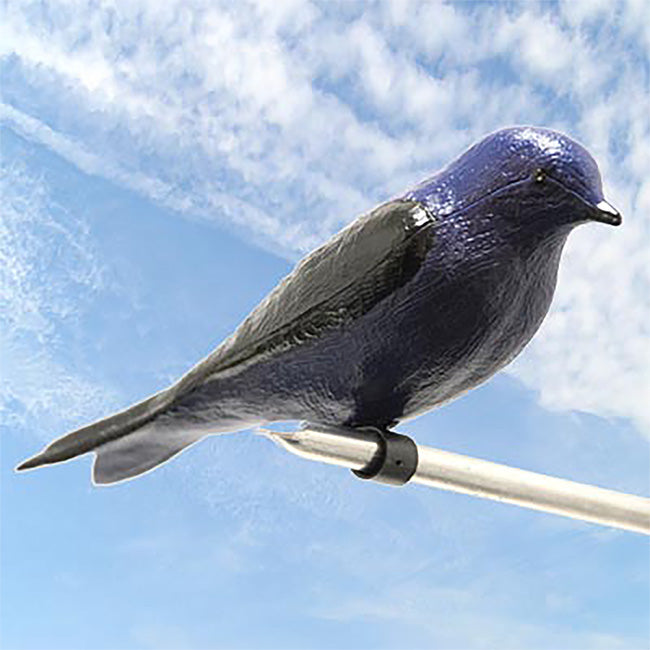 Heath Deluxe Purple Martin Decoy with Mount