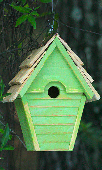 Heartwood Wren in the Wind Hanging Bird House, Green Apple