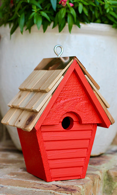 Heartwood Wren in the Wind Hanging Bird House, Neon Red