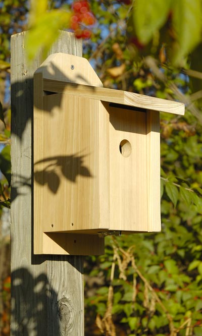 Heartwood Joy Box Chickadee House