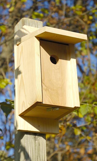 Heartwood Joy Box Eastern Bluebird House