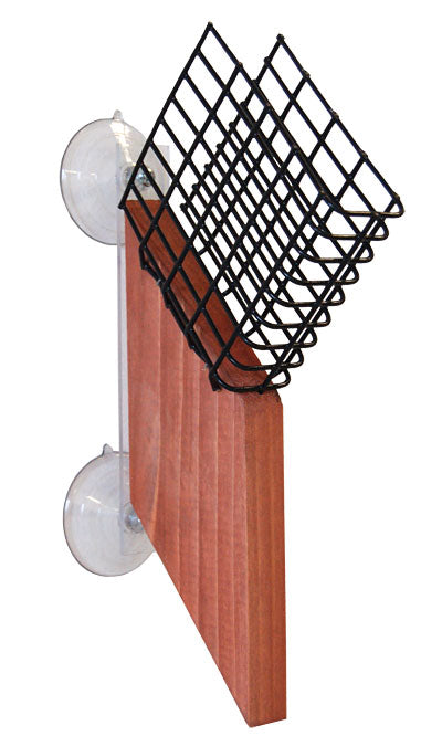 Looker Products Window Suet Feeder with Tail Prop