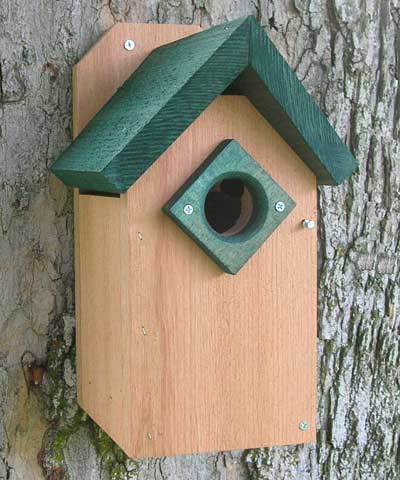 Looker Products Bluebird House