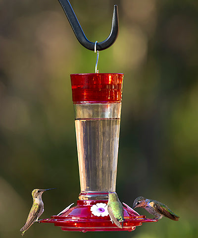 More Birds Ruby Hummingbird Feeder, 10 oz.