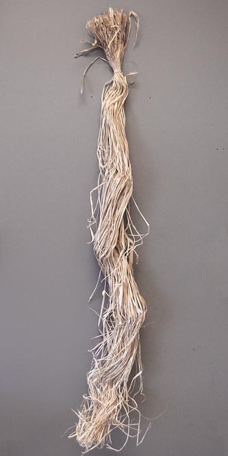 Panacea Natural Bagged Raffia, 250 cubic inches