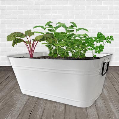 Panacea Vintage Milkhouse Washtub Style Planter, 24”L