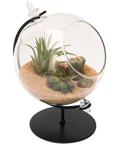 Panacea Desktop Glass Terrarium with Metal Stand, 4.5" dia.