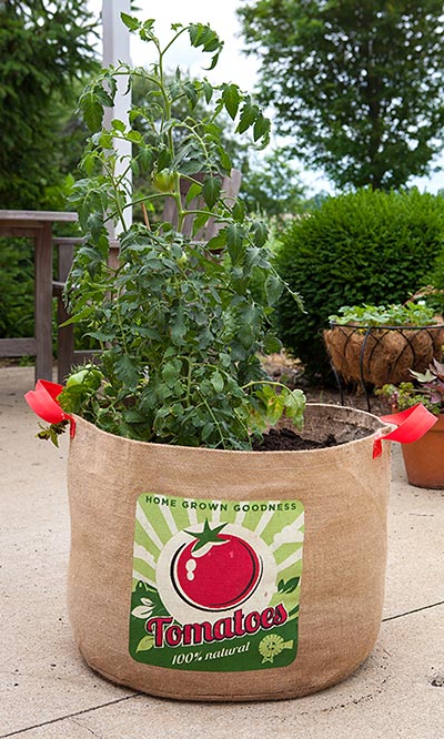 Panacea Tomatoes Grow Bag, 19" dia.