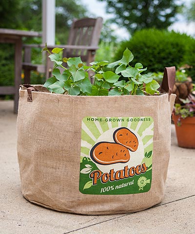 Panacea Potatoes Grow Bag, 24" dia.