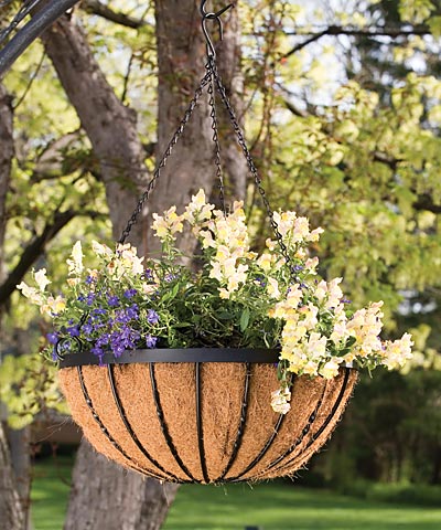 Panacea Cotswold Series Hanging Basket, Black, 17.75" dia.