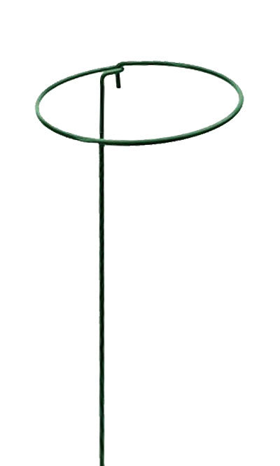 Panacea Circular Plant Supports, 6" x 36", Pack of 24