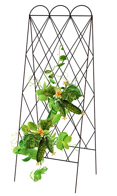 Panacea Rustic Heirloom Folding Trellis, Brown, 60"H