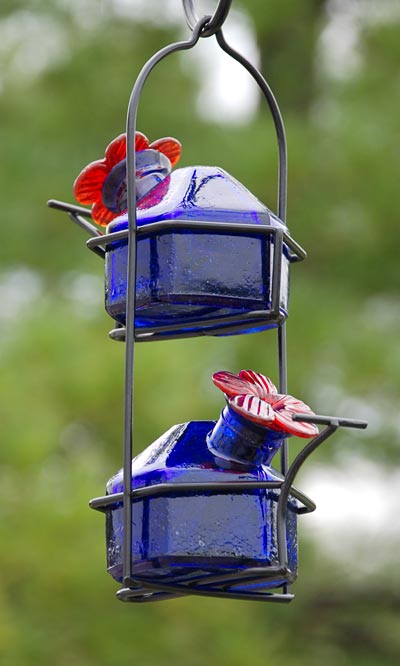 Parasol Lunch Pail Hummingbird Feeder, Small, Blue, 7 oz.