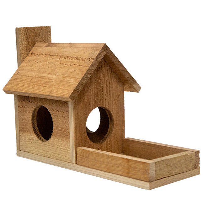 Cedar Squirrel Feeder by Prime Retreat