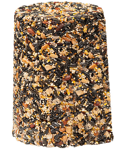 Pine Tree Fruit & Nut Classic Seed Log, 4.25 lbs., Pack of 6