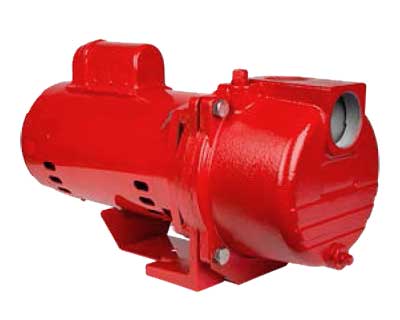 Red Lion Brass Impeller Sprinkler Pump, RL-SPRK200-BR, 2 Hp