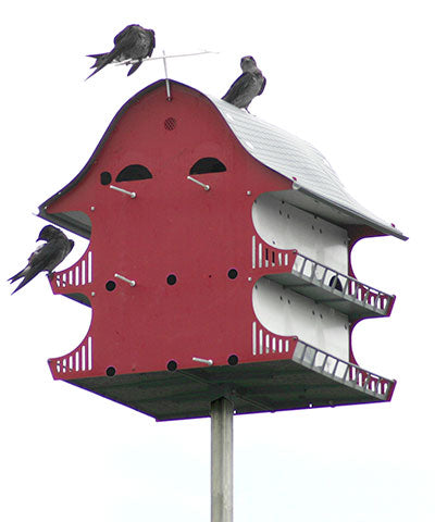 S&K Purple Martin Barn, 16 Room