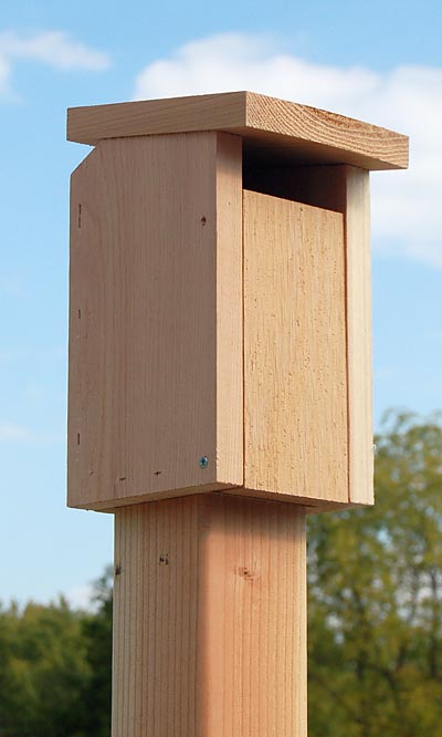 Songbird Essentials Sparrow-Resistant Bluebird House