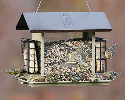 Stokes Large Hopper Feeder with Suet Cages