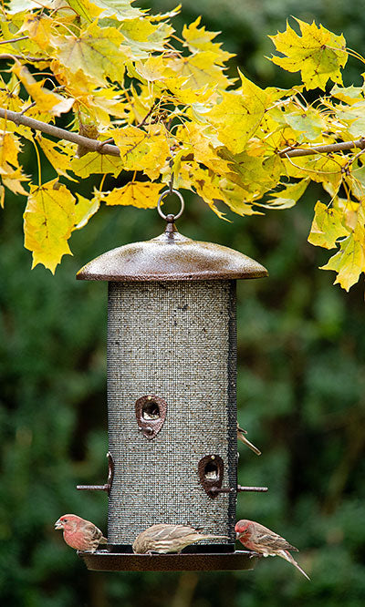 Stokes Giant Mesh Combo Bird Feeder, Copper Colored