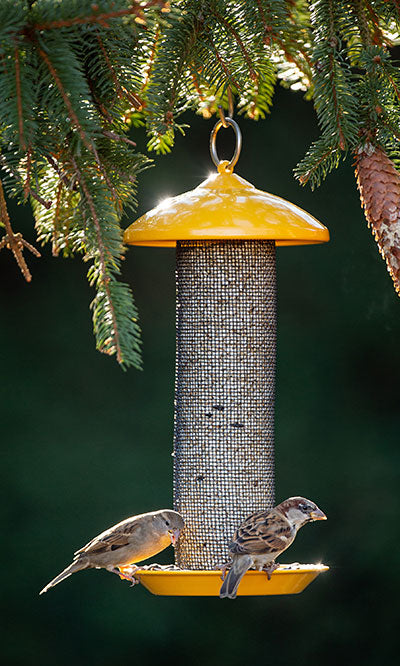 Stokes Finch Screen Mesh Bird Feeder, Yellow