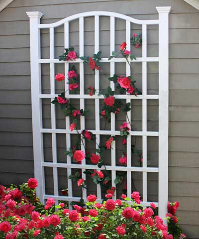 New England Grande Trellis, White, 96"H