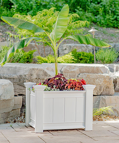 Eden Barcelona Planter Box, 27"L