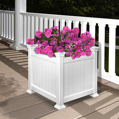 Eden Cardiff Planter Box, White, 16"L