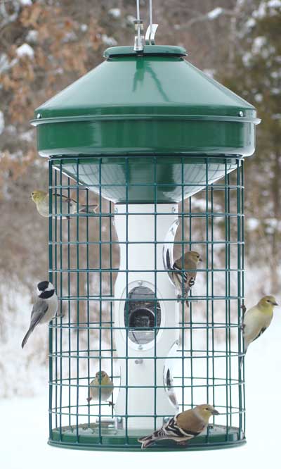 Vari-Crafts Caged Avian Mixed Seed Bird Feeder, 2.375 gal.