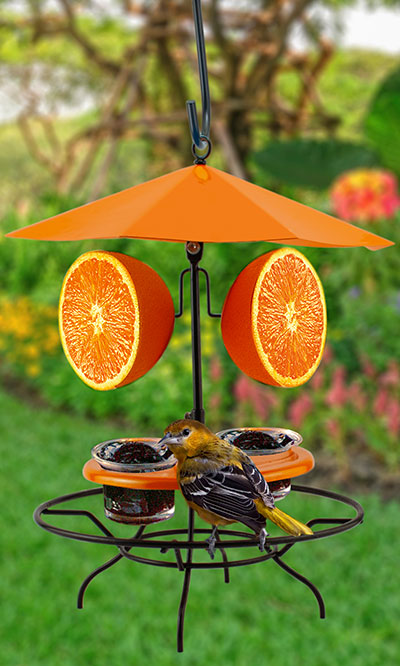 Woodlink Patio Table with Umbrella Oriole Feeder