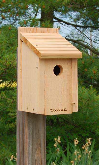 Woodlink Bluebird House