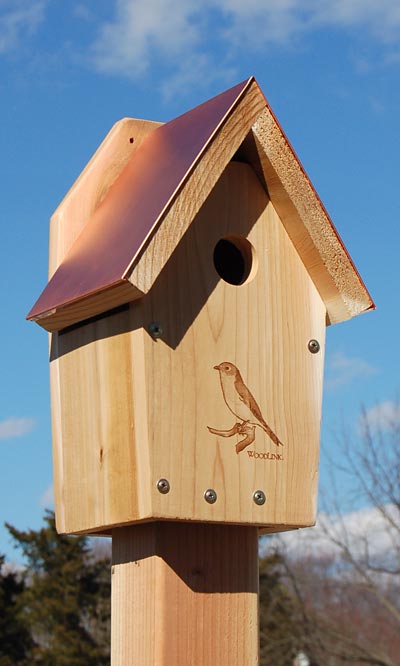 Woodlink Coppertop Bluebird House