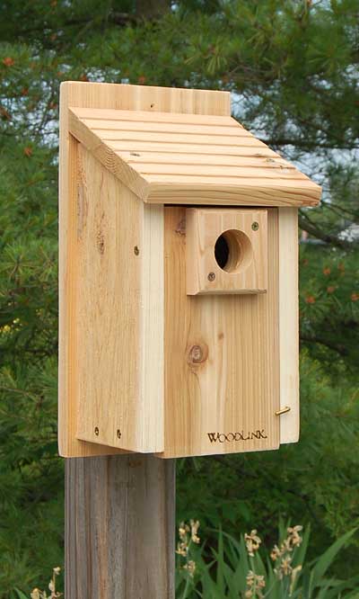 Woodlink Traditional Bluebird House