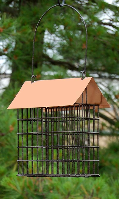 Woodlink Coppertop Double Suet Cage Feeder