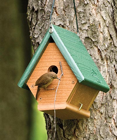 Woodlink Going Green Hanging Wren House