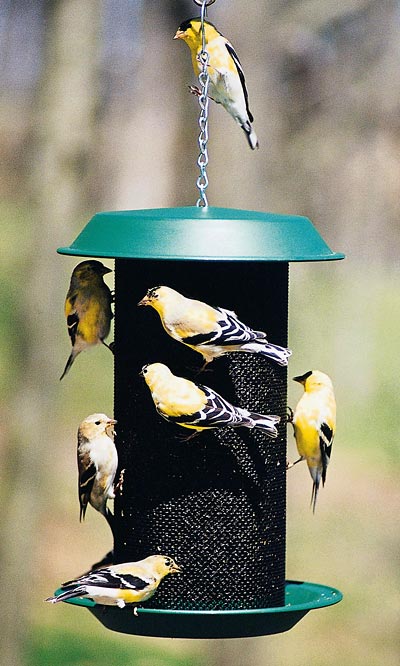 Woodlink Magnum Thistle Seed Bird Feeder