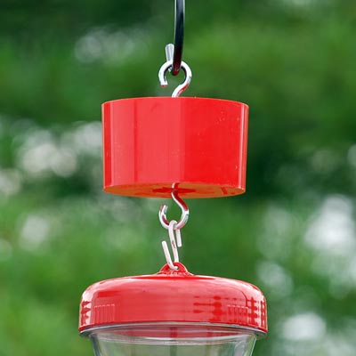 Wildlife Accessories Trap-It Ant Trap, Red